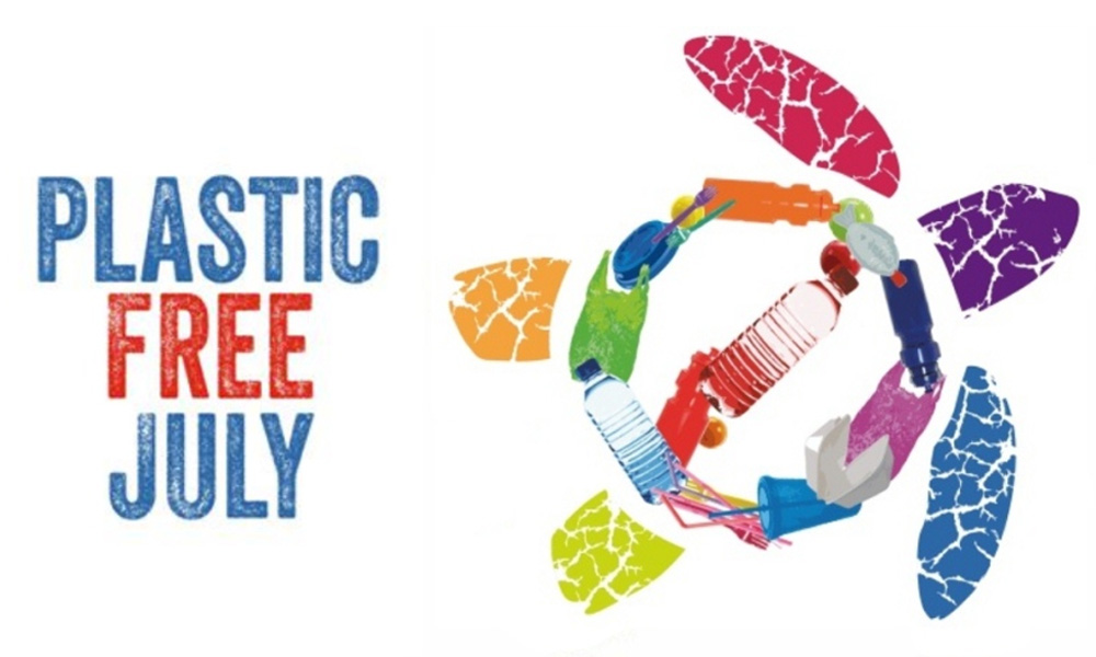 Plastic Free July Green Elephant Sustainable Blog NZ