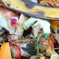 Food Scraps from Food Waste at Home