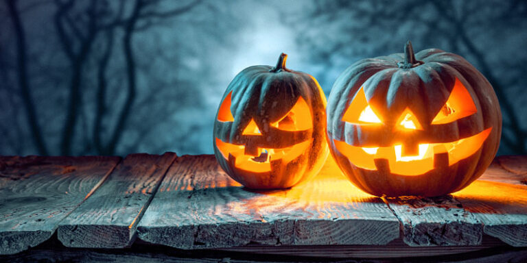 Top Tips for an Eco Halloween | Green Elephant Sustainable Blog NZ