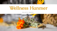 Wellness Hanmer & Animal Therapies