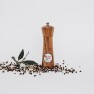 15cm Acacia ‘new style’Hardwood Grinder Image