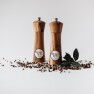 15cm Acacia ‘new style’ grinder Giftset. Image
