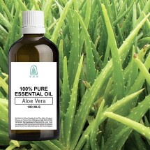 Aloe Vera 100 % Pure Essential Oil - 100 ml Bottle Image