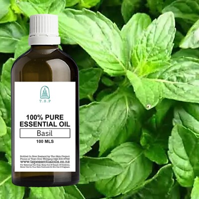 Basil 100% Pure Essential Oil – 100 ml Bottle Image