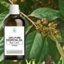 Bay Leaf 100% Pure Essential Oil – 100 ml Bottle Image
