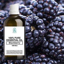 Blackberry Seed 100% Pure Essential Oil - 100 ml Bottle Image