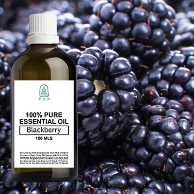 Blackberry Seed 100% Pure Essential Oil – 100 ml Bottle Image
