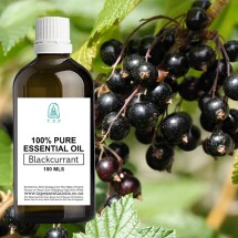 Blackcurrant Seed 100%  Essential Oil - 100 ml Bottle