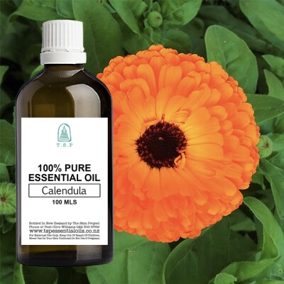 Calendula 100 % Pure Essential Oil – 100 ml Bottle Image