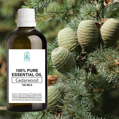 Cedarwood 100% Pure Essential Oil – 100 ml Bottle Image