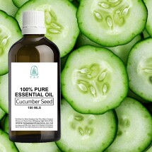 Cucumber Seed Pure Essential Oil - 100 ml Bottle Image