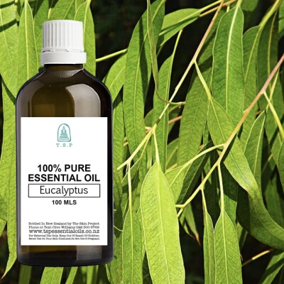 Eucalyptus Pure Essential Oil – 100 ml Bottle Image