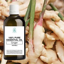 Ginger Pure Essential Oil - 100 ml Bottle Image