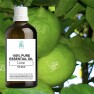 Lime 100% Pure Essential Oil – 100 ml Bottle Image