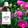 Peony 100% Pure Essential Oil – 100 ml Bottle Image