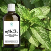 Peppermint Pure Essential Oil - 100 ml Bottle Image