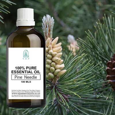 Pine Needle Pure Essential Oil – 100 ml Bottle Image