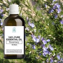 Rosemary Pure Essential Oil - 100 ml Bottle Image