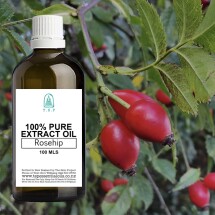 Rosehip 100% Pure Extract Oil - 100 ml Bottle