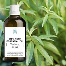 Verbena Pure Essential Oil - 100 ml Bottle