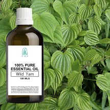 Wild Yam Pure Essential Oil - 100 ml Bottle Image
