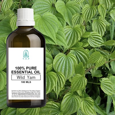 Wild Yam Pure Essential Oil – 100 ml Bottle Image