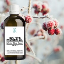 Winter Plum Seed Pure Essential Oil - 100 ml Bottle