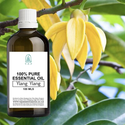 Ylang Ylang Pure Essential Oil – 100 ml Bottle Image