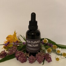 Red Clover Tincture Image
