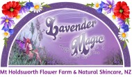 Lavender Magic Logo