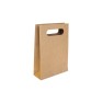 Ecopack Accessory Punched Handle Paper Bags x25 Image