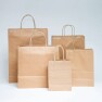 Ecopack Medium Twisted Handle Paper Bags x25 Image