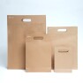 Ecopack Accessory Punched Handle Paper Bags x25 Image