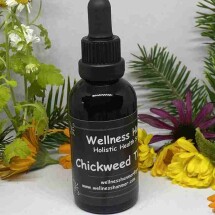 Chickweed Tincture Image