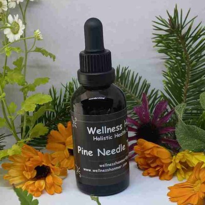 Pine Needle Tincture – 50ml Image