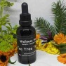 Tea Tree (NZ Manuka)  Tincture Image