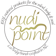 Nudi Point Logo