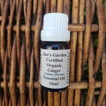 Ginger essential oil 10ml Image