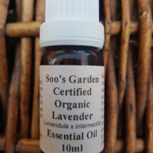 Lavender Grosso essential oil 10ml Image