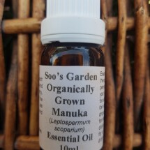 Manuka essential oil 10ml Image