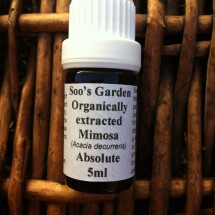 Mimosa absolute 5ml Image