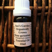 Rose Geranium essential oil 10ml Image