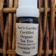 Tea tree essential oil 10ml Image