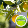 Cream Deodorant – Lemon & Bergamot (Organic ) Image