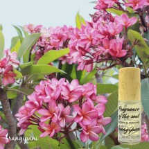 Frangipani Botanical Perfume (Organic)