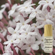 Jasmine Botanical Perfume (Organic) Image