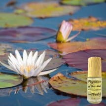 Waterlily Botanical Perfume (Organic) Image