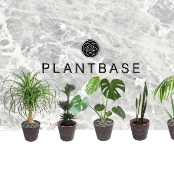 The Plant Base Store Photo