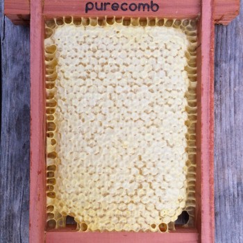 purecomb Store Photo