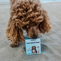 Certified Compostable Dog Waste Bags - 60 Bags Image